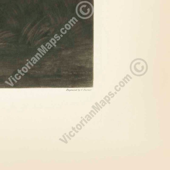 Admiral Horatio Lord Nelson - mezzotint portrait by C. Turner (after J. Hoppner), 1806 art print poster canvas gift