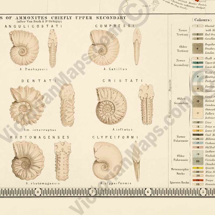 Palaeontological Map of the British Islands by A. K. Johnston & E. Forbes, published by William Blackwood & Sons 1848 art print poster canvas gift
