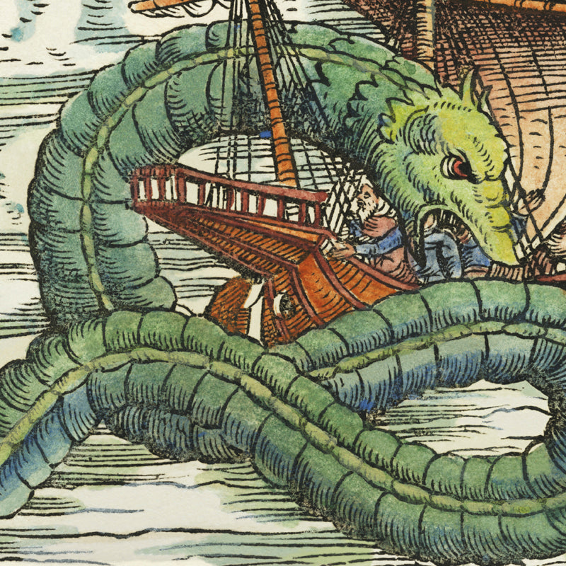 Monsters & Dragons