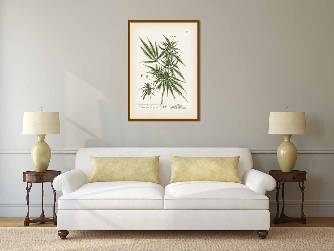 Cannabis foemina Cannabis sativa Hemp plant - botanical print by Elizabeth Blackwell, A Curious Herbal, 1737 art poster canvas gift