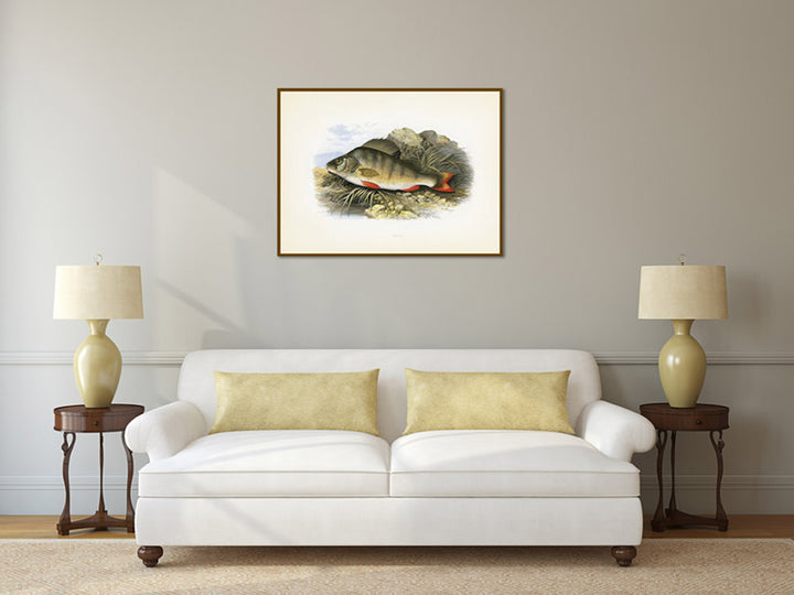 Perch, fish illustration print from Rev. William Houghton's "British Freshwater Fishes", 1879 art poster canvas gift