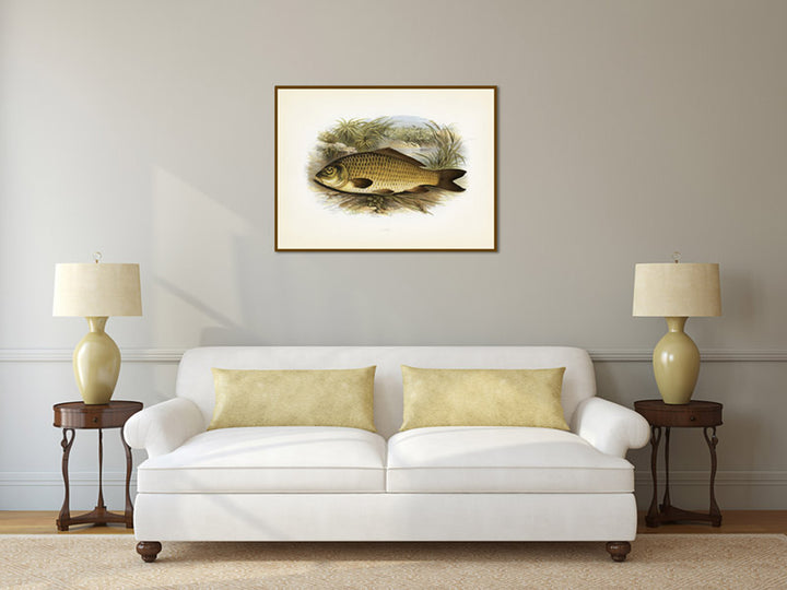 Carp, fish - Victorian illustration print from Rev. William Houghton's "British Freshwater Fishes", 1879 art poster canvas gift