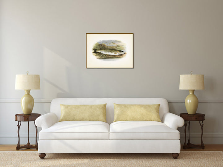 Pike, fish illustration print from Rev. William Houghton's "British Freshwater Fishes", 1879 art poster canvas gift