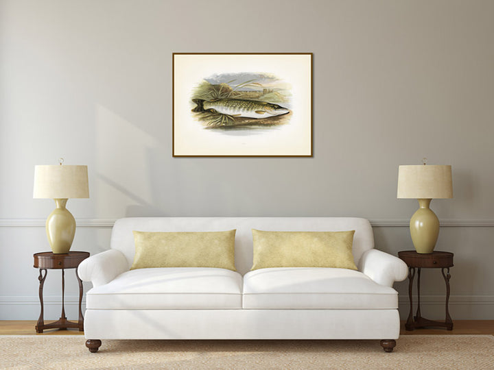 Pike, fish illustration print from Rev. William Houghton's "British Freshwater Fishes", 1879 art poster canvas gift