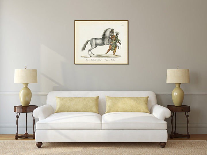Equus arabiae Arabian horse - an engraved hand-coloured equine print by Karl Brodtmann, 1816 art poster canvas gift