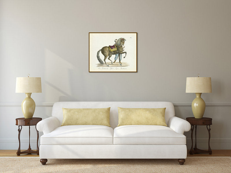 Equus barbaricus Barbarian horse – an engraved hand-coloured equine print by Karl Brodtmann, 1816 art poster canvas gift