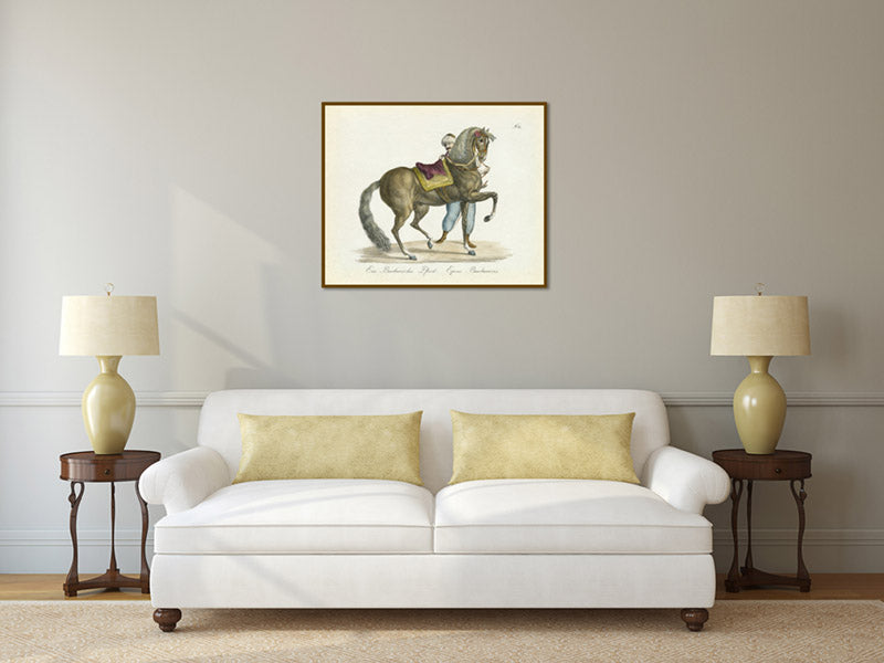 Equus barbaricus Barbarian horse – an engraved hand-coloured equine print by Karl Brodtmann, 1816 art poster canvas gift