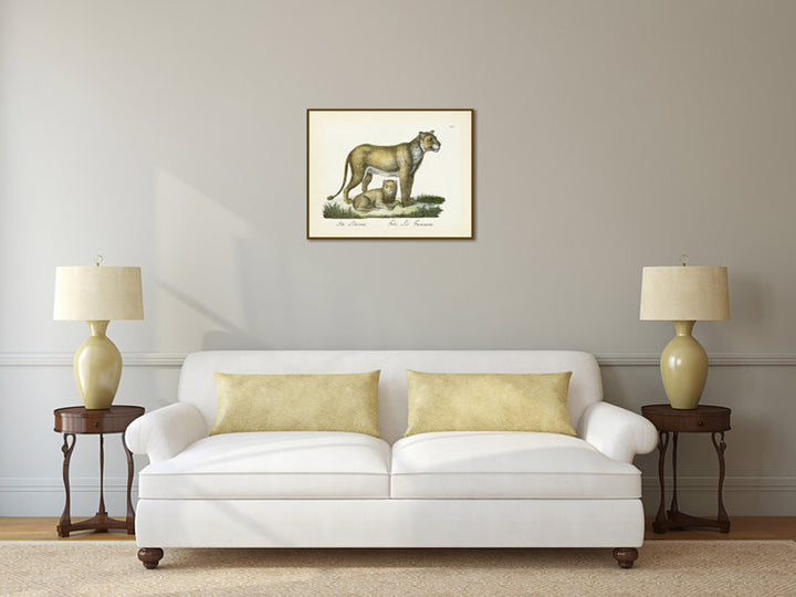Lioness with a cub  Felis leo faemmina - an engraved hand-coloured print by Karl Brodtmann, 1816 art poster canvas gift
