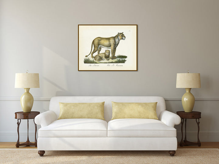 Lioness with a cub  Felis leo faemmina - an engraved hand-coloured print by Karl Brodtmann, 1816 art poster canvas gift