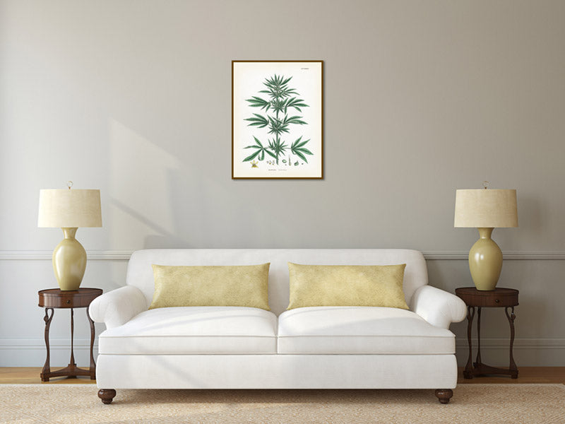 Common Hemp Cannabis sativa plant - a botanical print by J. Sowerby, 1790 art poster canvas gift