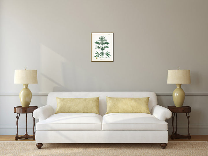 Common Hemp Cannabis sativa plant - a botanical print by J. Sowerby, 1790 art poster canvas gift