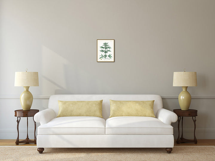 Common Hemp Cannabis sativa plant - a botanical print by J. Sowerby, 1790 art poster canvas gift