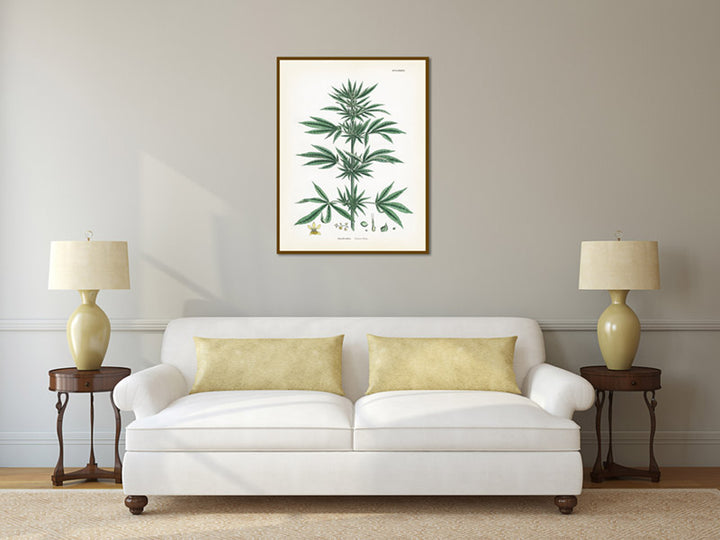 Common Hemp Cannabis sativa plant - a botanical print by J. Sowerby, 1790 art poster canvas gift