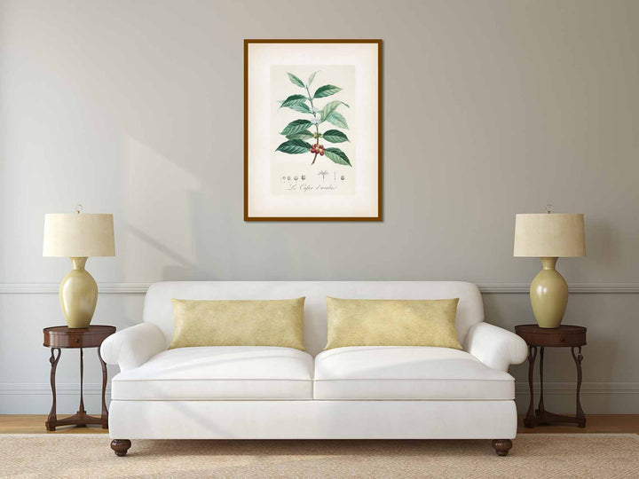 Le Cafier d'arabie, Coffee arabica - botanical colour plate print, published c.1900 in Paris, France art poster canvas gift