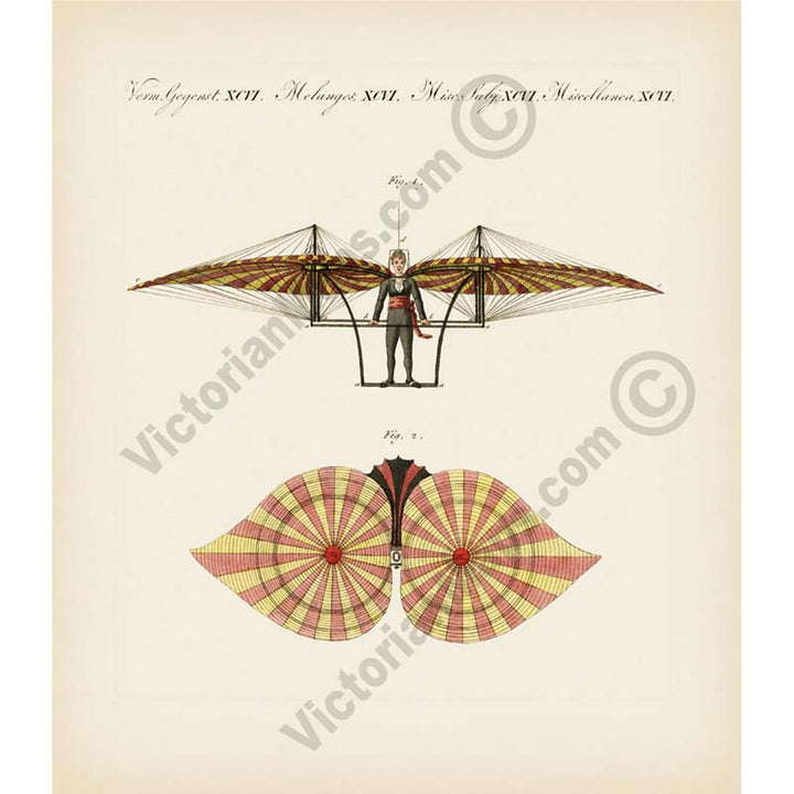 Degen's Flying Machine, Ornithopter early aircraft - an illustration from "Bilderbush fur Kinder" by F. J. Bertush, 1807 art print poster canvas gift