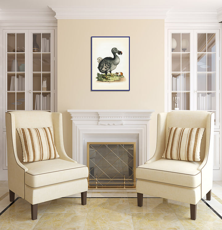 Dodo bird Dronte Raphus cucullatus and a guinea pig - a print by George Edwards, 1758 art poster canvas gift