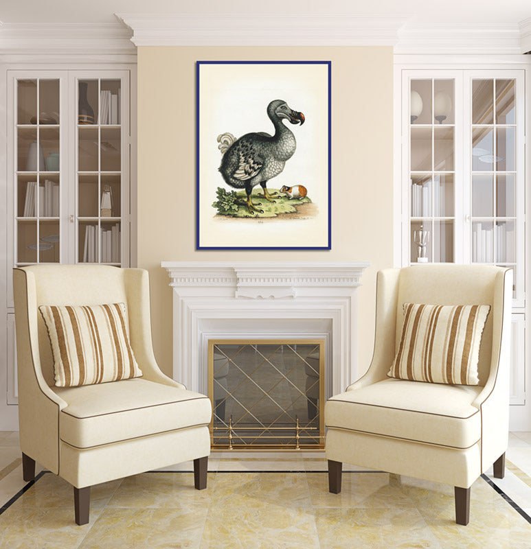 Dodo bird Dronte Raphus cucullatus and a guinea pig - a print by George Edwards, 1758 art poster canvas gift