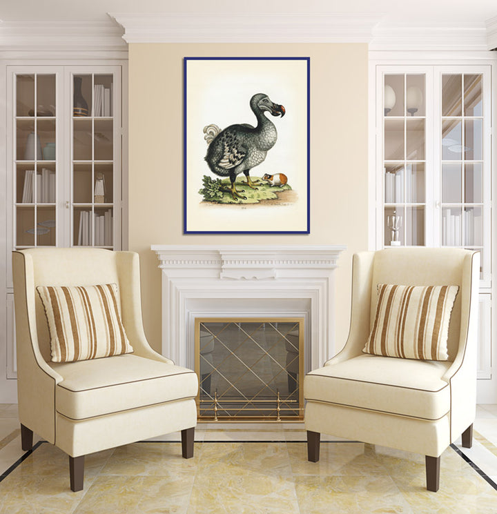 Dodo bird Dronte Raphus cucullatus and a guinea pig - a print by George Edwards, 1758 art poster canvas gift