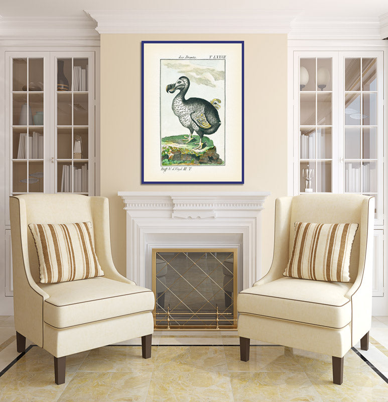 Dodo Dronte Raphus cucullatus – an engraved hand-coloured print by Comte de Buffon, 1775 art print poster canvas gift