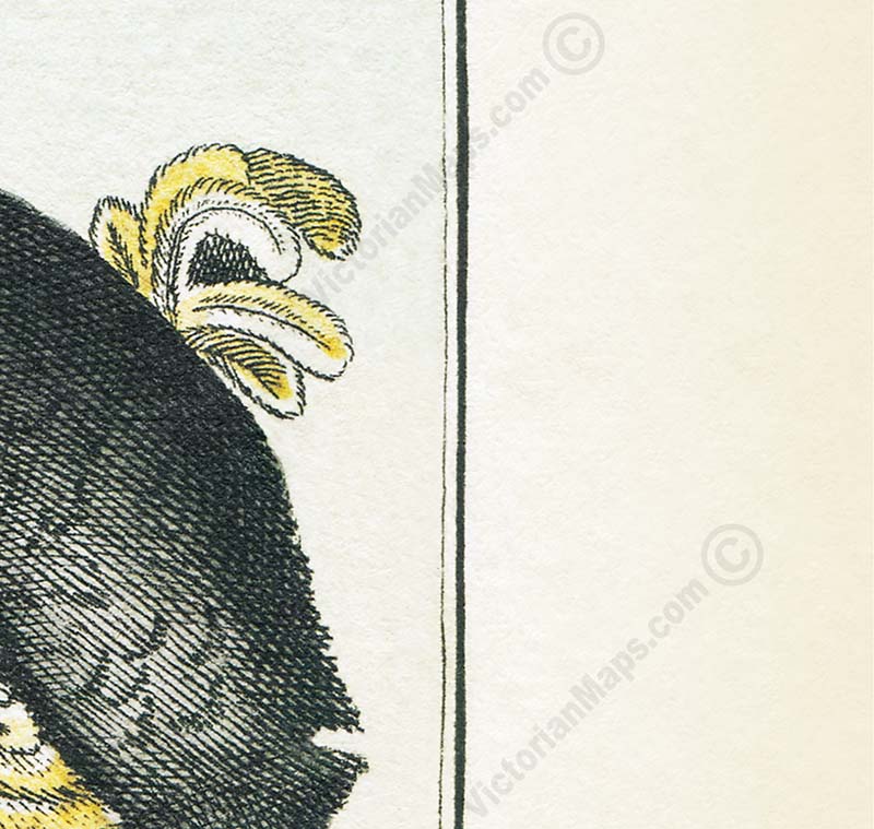 Dodo Dronte Raphus cucullatus – an engraved hand-coloured print by Comte de Buffon, 1775 art print poster canvas gift