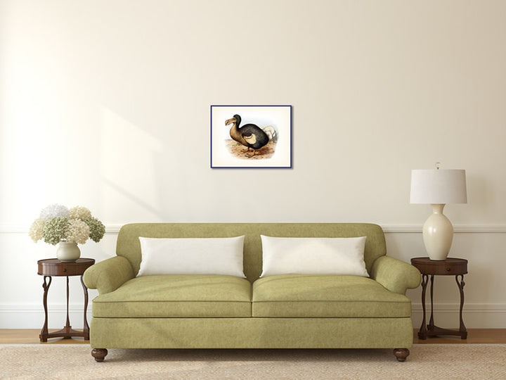 Dodo extinct bird Dronte Raphus cucullatus - a print by F. W. Frohawk, 1905 art poster canvas gift