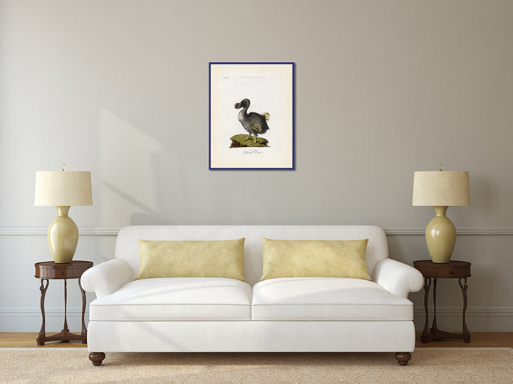 Dodo bird Dronte Raphus cucullatus - an engraved and hand-coloured print by John Latham, 1781 art poster canvas gift