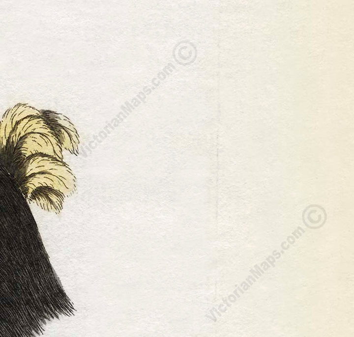 Dodo bird Dronte Raphus cucullatus - an engraved and hand-coloured print by John Latham, 1781 art poster canvas gift