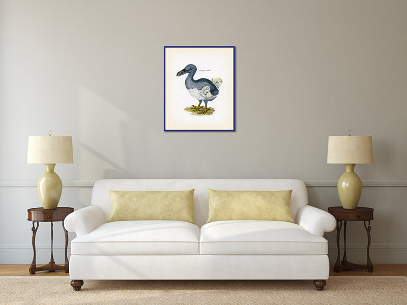 Dodo Dronte Raphus cucullatus - an engraved hand-coloured print by Lorenz Oken, 1843 art poster canvas gift