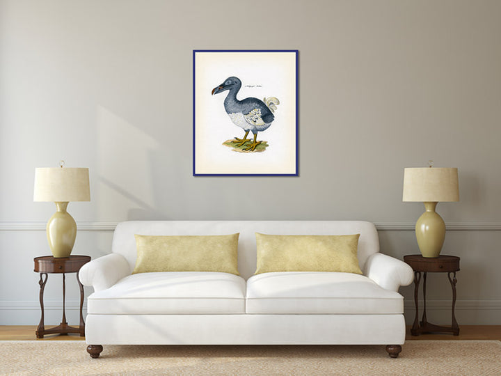 Dodo Dronte Raphus cucullatus - an engraved hand-coloured print by Lorenz Oken, 1843 art poster canvas gift