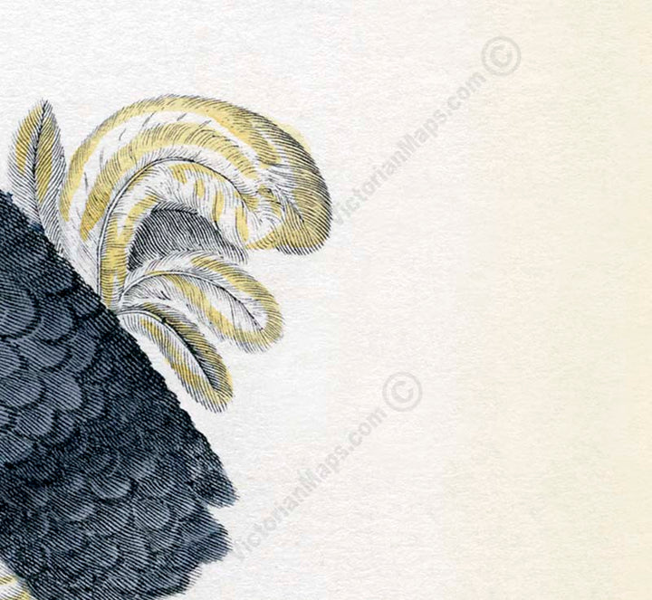 Dodo Dronte Raphus cucullatus - an engraved hand-coloured print by Lorenz Oken, 1843 art poster canvas gift