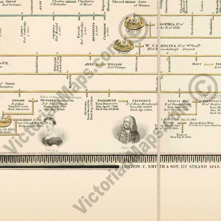 A genealogical chart of the Kings and Queens of England from William the Conqueror to the Queen Victoria. Published C. Smith & Son 1848 art print poster canvas gift