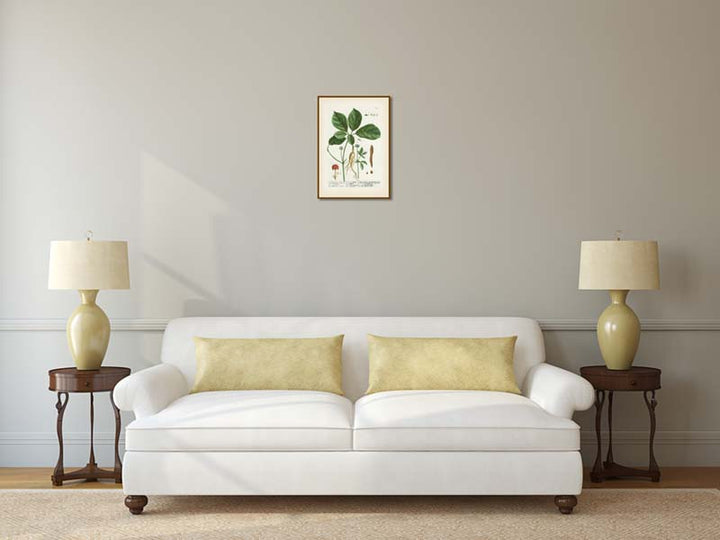 Ginseng flowering plant Ginseng Sinensium Panax sp. , botanical print by Elizabeth Blackwell, A Curious Herbal, 1737 art print poster canvas gift