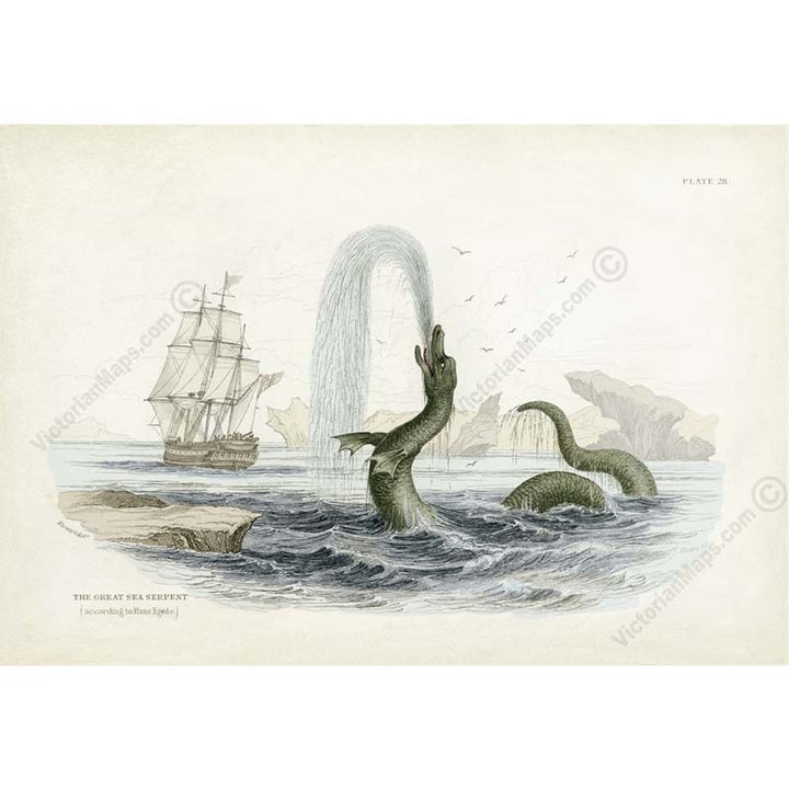 The Great Sea Serpent according to Hans Egede - an engraved hand-coloured print by W. Jardine, 1833 art poster canvas gift