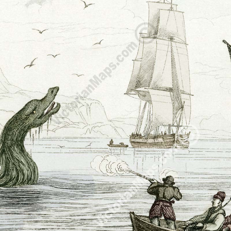The Great Sea Serpent according to Pontoppidon - an engraved hand-coloured print by W. Jardine, 1833 art poster canvas gift