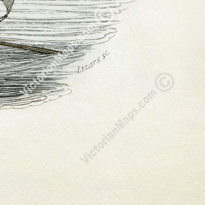The Great Sea Serpent according to Pontoppidon - an engraved hand-coloured print by W. Jardine, 1833 art poster canvas gift