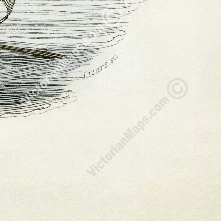 The Great Sea Serpent according to Pontoppidon - an engraved hand-coloured print by W. Jardine, 1833 art poster canvas gift