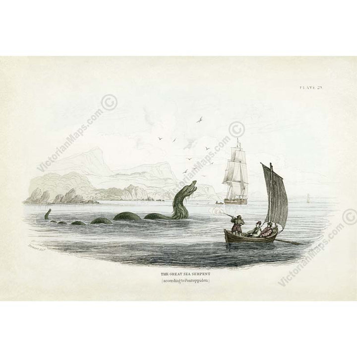 The Great Sea Serpent according to Pontoppidon - an engraved hand-coloured print by W. Jardine, 1833 art poster canvas gift