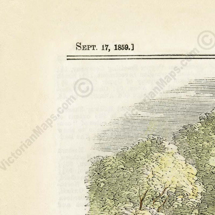 Juvenile Fete and Balloon Race at Cremorne Gardens, London - a print from a page of The Illustrated London News magazine,1859 art poster canvas gift