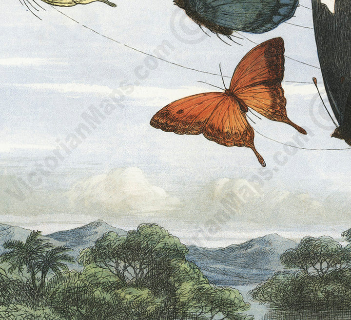 The Fairy Queen takes an airy drive in a carriage drawn by butterflies - a Victorian engraving by R. Doyle, In Fairyland: A series of Pictures from the Elf-World, 1780 art print poster canvas gift