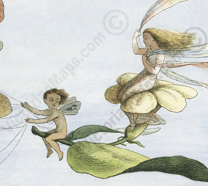 The Fairy Queen takes an airy drive in a carriage drawn by butterflies - a Victorian engraving by R. Doyle, In Fairyland: A series of Pictures from the Elf-World, 1780 art print poster canvas gift
