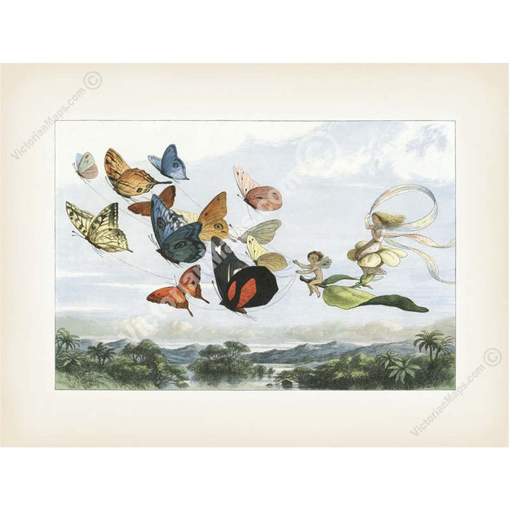 The Fairy Queen takes an airy drive in a carriage drawn by butterflies - a Victorian engraving by R. Doyle, In Fairyland: A series of Pictures from the Elf-World, 1780 art print poster canvas gift