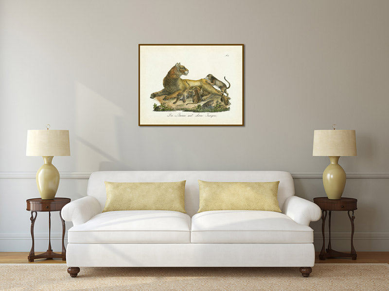 Lioness with cubs – an engraved hand-coloured print by Karl Brodtmann, 1816 art poster canvas gift