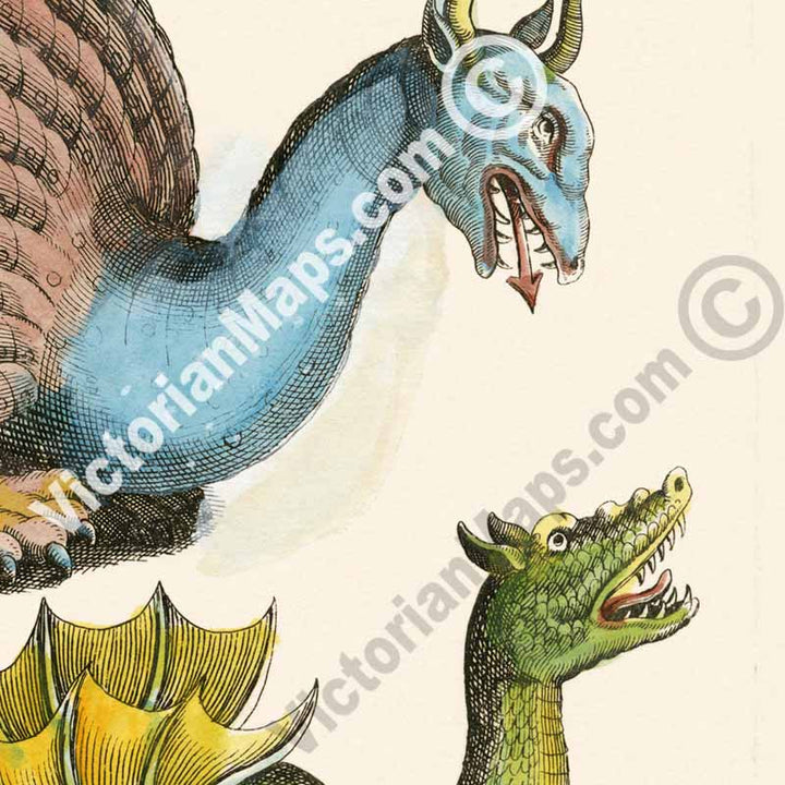Species of Dragons - a page from "Historiae naturalis de serpentibus et draconibus"  Merian & Jonston, 1657 (N1)
