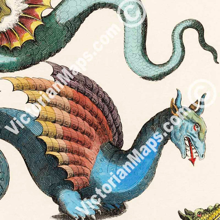 Species of Dragons - a page from "Historiae naturalis de serpentibus et draconibus"  Merian & Jonston, 1657 (N2) art print poster canvas gift
