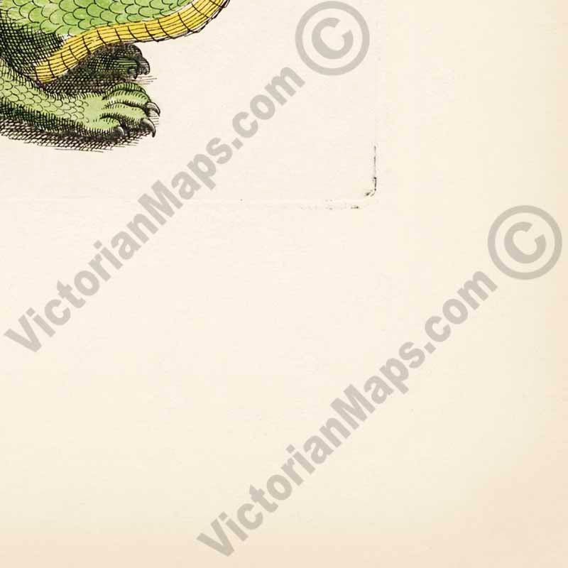 Species of Dragons - a page from "Historiae naturalis de serpentibus et draconibus"  Merian & Jonston, 1657 (N2) art print poster canvas gift