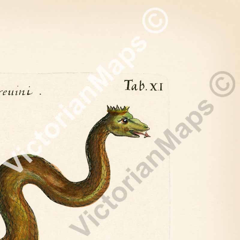 Basilisk, Dragon, Hydra monsters, antique print from "Historiae naturalis de serpentibus et draconibus"  Merian & Jonston, 1657 art print poster canvas gift
