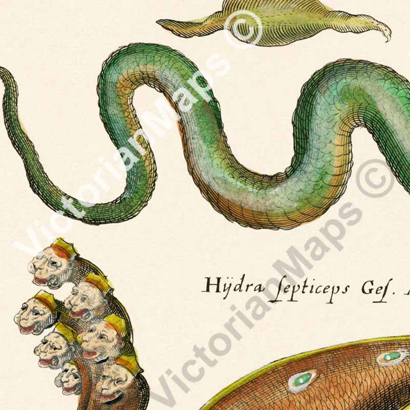 Basilisk, Dragon, Hydra monsters, antique print from "Historiae naturalis de serpentibus et draconibus"  Merian & Jonston, 1657 art print poster canvas gift