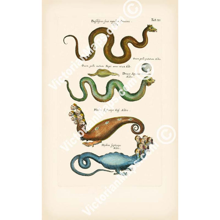 Basilisk, Dragon, Hydra monsters, antique print from "Historiae naturalis de serpentibus et draconibus"  Merian & Jonston, 1657 art print poster canvas gift