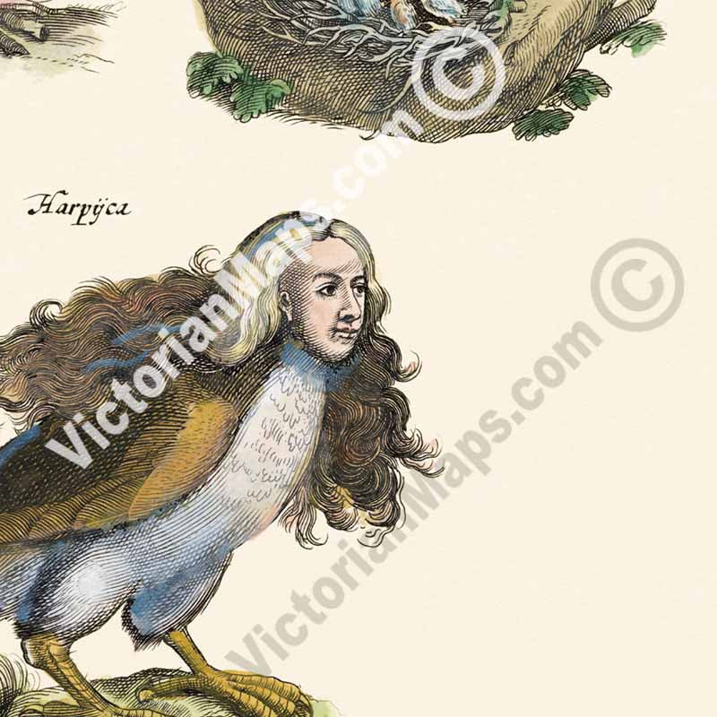 Phoenix, Pelican, Harpy, Griffin - an engraved plate from "Historiae naturalis de serpentibus et draconibus"  Merian & Jonston, 1657 art print poster canvas gift
