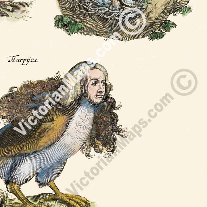 Phoenix, Pelican, Harpy, Griffin - an engraved plate from "Historiae naturalis de serpentibus et draconibus"  Merian & Jonston, 1657 art print poster canvas gift
